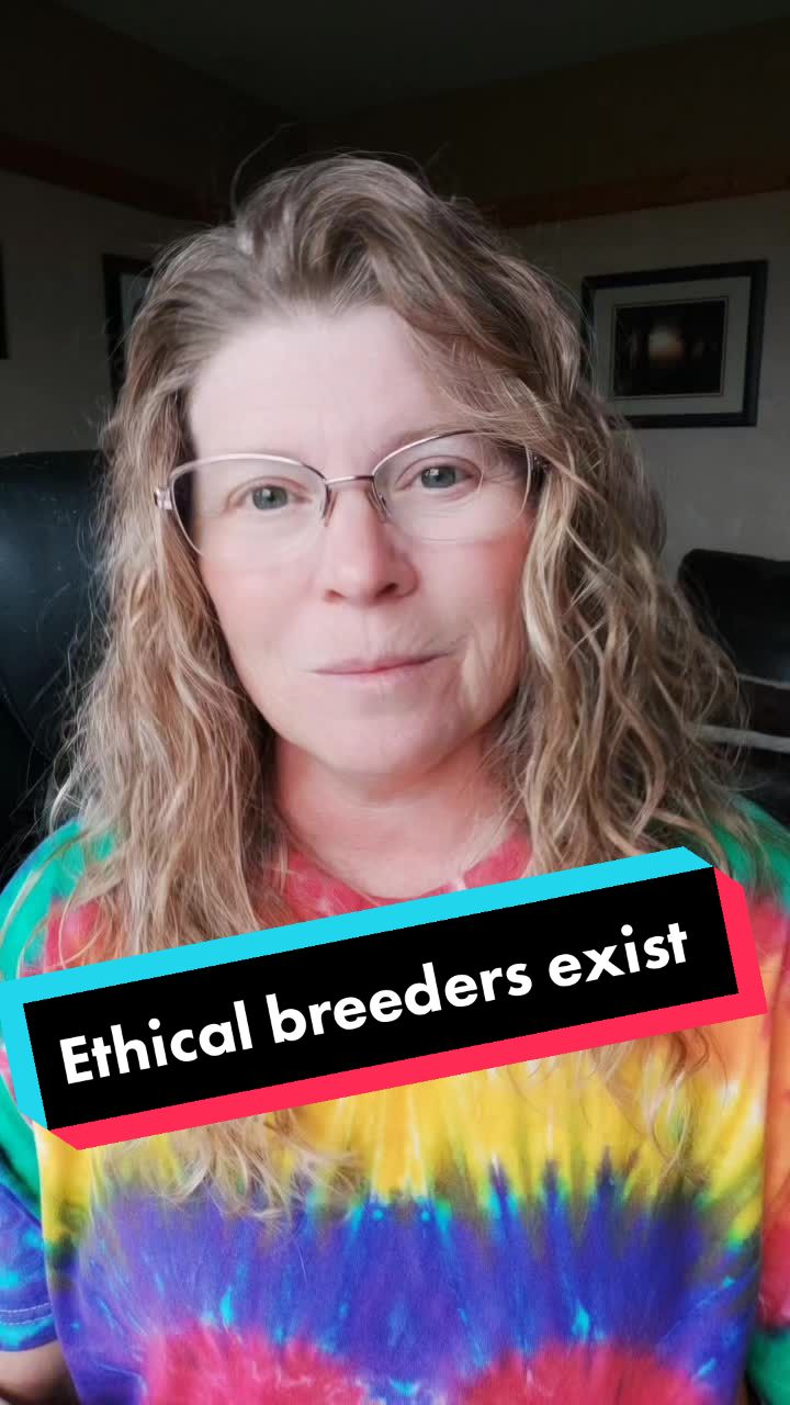 @See my pinned video discussing ethical breeders. We absolute...