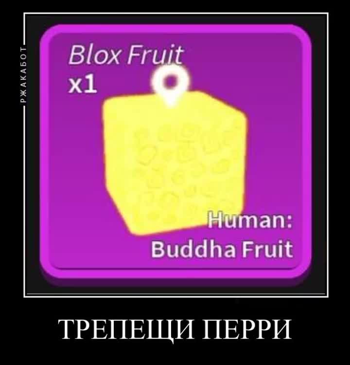 Buddha BLOX Fruits. Фрукт Будда в Блокс фрукт. Будда в2 Блокс Фрутс. Фрукты Блокс Фрут. Коды блокс фрутс февраль 2024