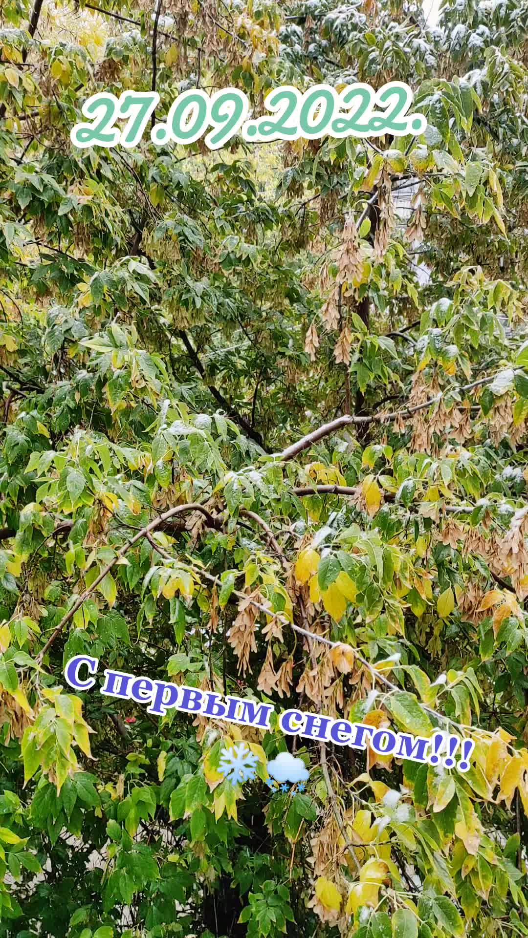 @#осень2022 #холодно #первыйснег #петропавловск #15регион #пр...