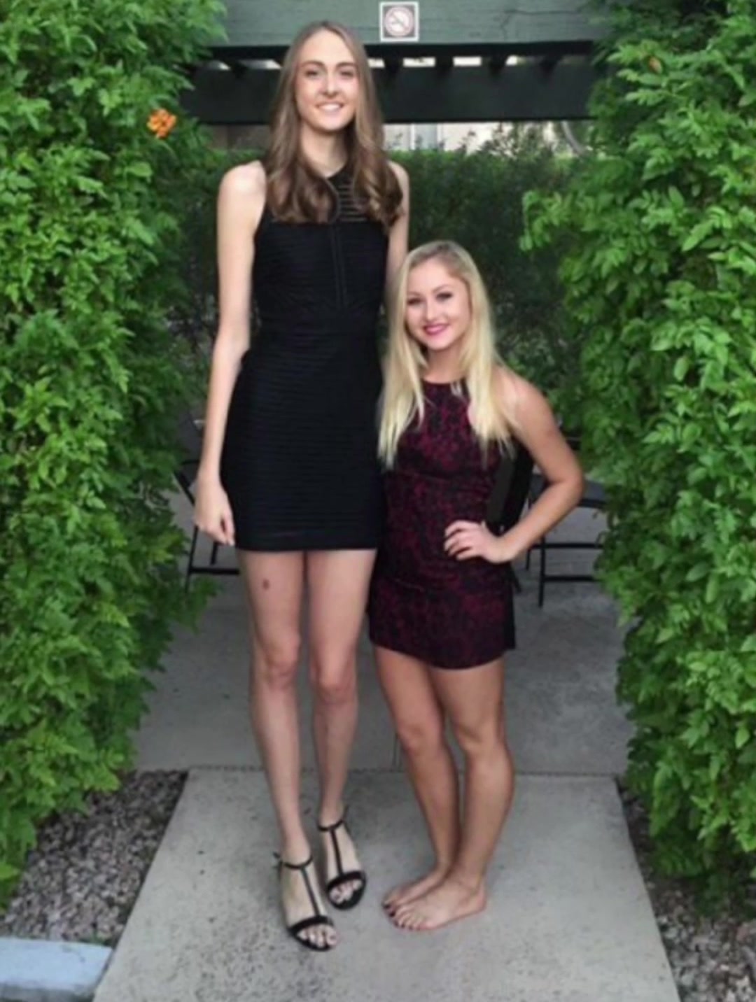 девушки ростом 180 см фото